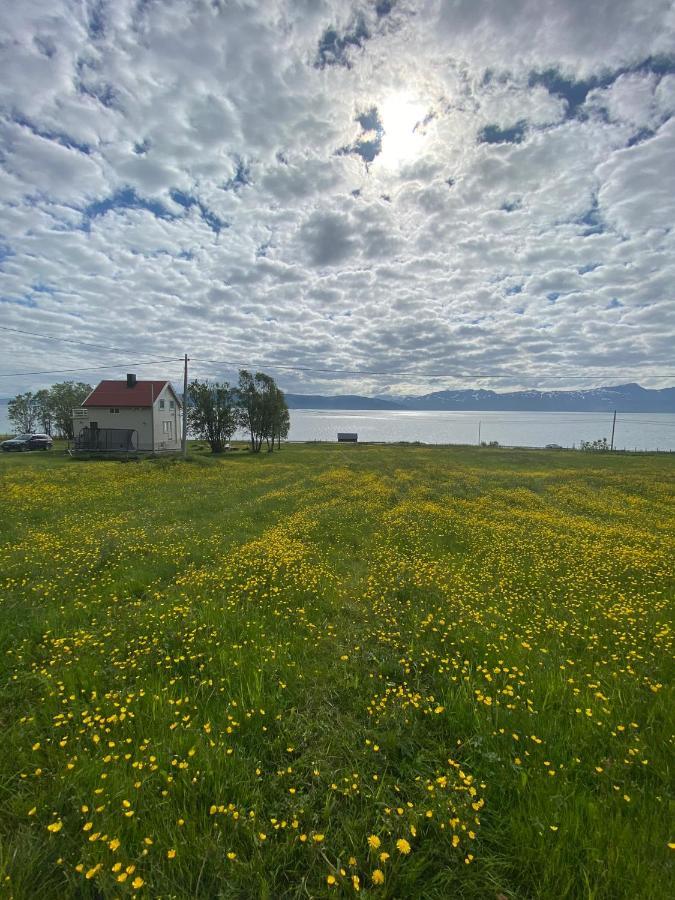 Unique And Charming Holiday Home With Fantastic Sea Views Тромсьо Екстериор снимка