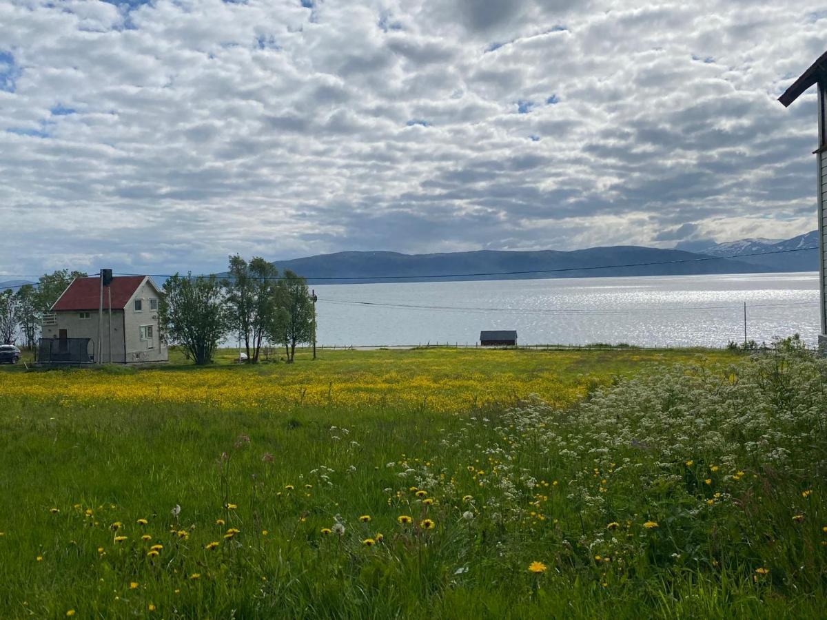 Unique And Charming Holiday Home With Fantastic Sea Views Тромсьо Екстериор снимка