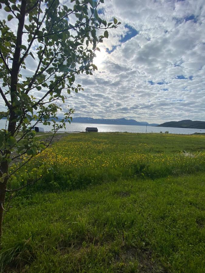 Unique And Charming Holiday Home With Fantastic Sea Views Тромсьо Екстериор снимка